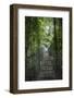 Mistico Arenal Hanging Bridges Park in Arenal, Costa Rica.-Michele Niles-Framed Photographic Print