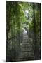 Mistico Arenal Hanging Bridges Park in Arenal, Costa Rica.-Michele Niles-Mounted Photographic Print