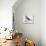 Mistle Thrush (Turdus Viscivorus), Turdidae-null-Stretched Canvas displayed on a wall