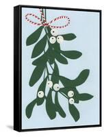 Mistletoe, 2014-Isobel Barber-Framed Stretched Canvas