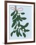 Mistletoe, 2014-Isobel Barber-Framed Giclee Print