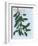 Mistletoe, 2014-Isobel Barber-Framed Giclee Print