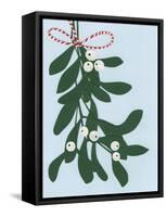 Mistletoe, 2014-Isobel Barber-Framed Stretched Canvas