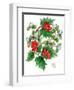 Mistletoe and Holly Wreath-Nell Hill-Framed Giclee Print