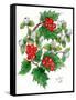 Mistletoe and Holly Wreath-Nell Hill-Framed Stretched Canvas