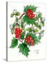 Mistletoe and Holly Wreath-Nell Hill-Stretched Canvas