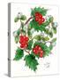 Mistletoe and Holly Wreath-Nell Hill-Stretched Canvas
