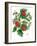 Mistletoe and Holly Wreath-Nell Hill-Framed Giclee Print