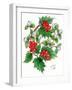 Mistletoe and Holly Wreath-Nell Hill-Framed Giclee Print