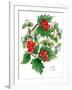 Mistletoe and Holly Wreath-Nell Hill-Framed Giclee Print