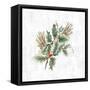 Mistletoe Branch-PI Studio-Framed Stretched Canvas