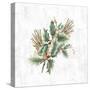 Mistletoe Branch-PI Studio-Stretched Canvas