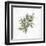 Mistletoe Branch-PI Studio-Framed Art Print