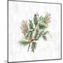 Mistletoe Branch-PI Studio-Mounted Art Print