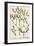 Mistletoe from A Curious Herbal, 1782-Elizabeth Blackwell-Framed Giclee Print