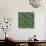 Mistletoe pattern I-Irina Trzaskos Studio-Giclee Print displayed on a wall