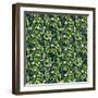 Mistletoe pattern I-Irina Trzaskos Studio-Framed Giclee Print