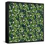 Mistletoe pattern I-Irina Trzaskos Studio-Framed Stretched Canvas