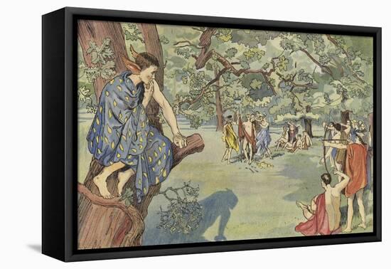 Mistletoe-John Shenton Eland-Framed Stretched Canvas