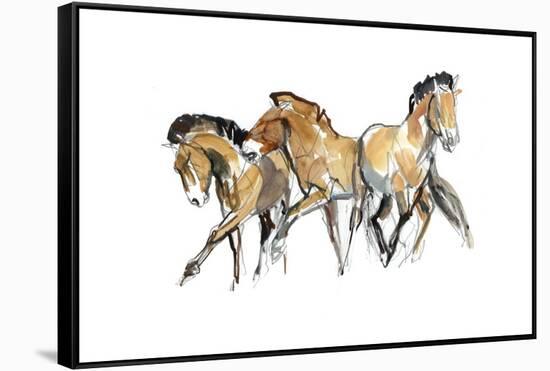 Mistral Three (Przewalski), 2013-Mark Adlington-Framed Stretched Canvas