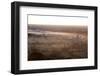 Mists from the Nearby Irrawaddy River Floating across Bagan (Pagan), Myanmar (Burma)-Annie Owen-Framed Photographic Print