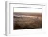 Mists from the Nearby Irrawaddy River Floating across Bagan (Pagan), Myanmar (Burma)-Annie Owen-Framed Photographic Print