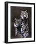 Misty Alabaster-Barbara Keith-Framed Giclee Print