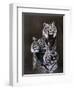 Misty Alabaster-Barbara Keith-Framed Giclee Print