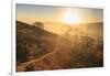 Misty and frosty sunrise over skeletal trees above the Hope Valley in winter, Castleton, Peak Distr-Eleanor Scriven-Framed Photographic Print