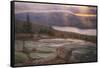 Misty and Light at Eagle Lake, Acadia National Park-Vincent James-Framed Stretched Canvas