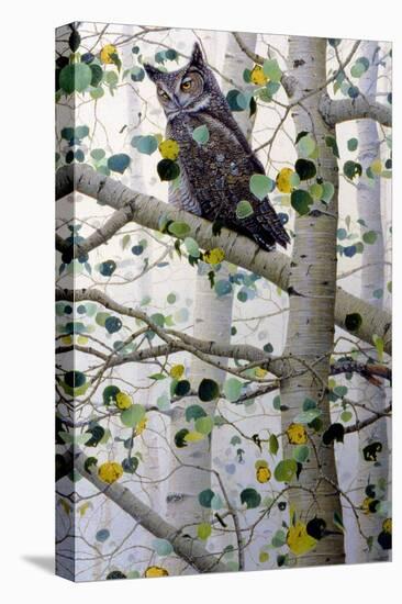 Misty Aspen-Jeff Tift-Stretched Canvas