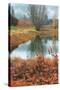 Misty Autumn Morning at Calistoga Pond-Vincent James-Stretched Canvas