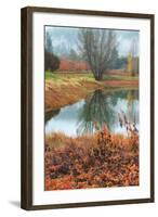 Misty Autumn Morning at Calistoga Pond-Vincent James-Framed Photographic Print