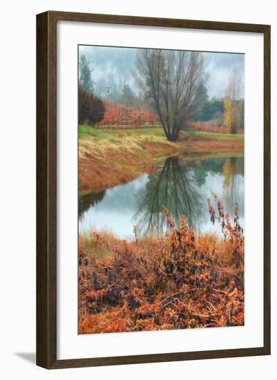 Misty Autumn Morning at Calistoga Pond-Vincent James-Framed Photographic Print