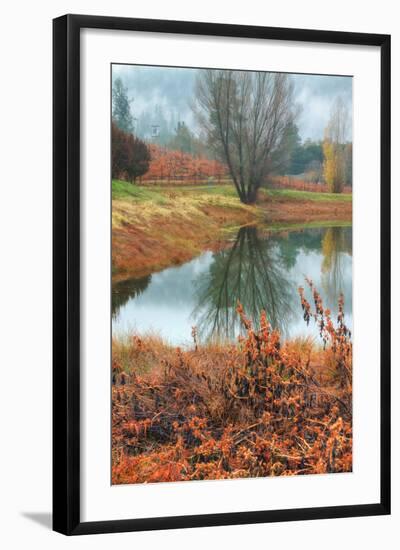 Misty Autumn Morning at Calistoga Pond-Vincent James-Framed Photographic Print