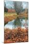 Misty Autumn Morning at Calistoga Pond-Vincent James-Mounted Photographic Print