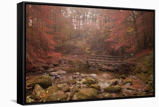 Misty Autumn Valley Near Ambleside, Lake District National Park, Cumbria, England, United Kingdom-Ian Egner-Framed Stretched Canvas