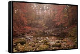 Misty Autumn Valley Near Ambleside, Lake District National Park, Cumbria, England, United Kingdom-Ian Egner-Framed Stretched Canvas