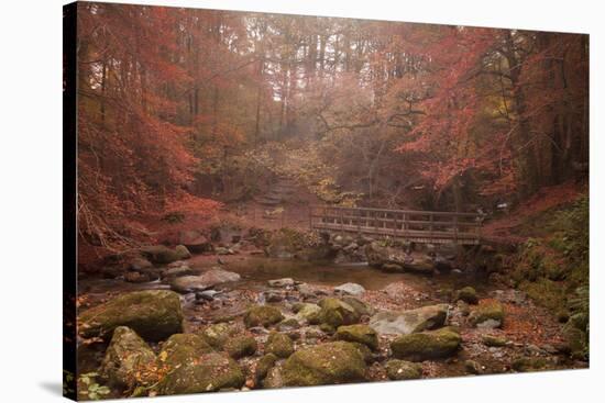 Misty Autumn Valley Near Ambleside, Lake District National Park, Cumbria, England, United Kingdom-Ian Egner-Stretched Canvas