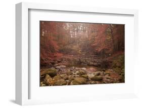 Misty Autumn Valley Near Ambleside, Lake District National Park, Cumbria, England, United Kingdom-Ian Egner-Framed Photographic Print