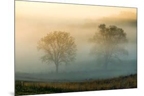 Misty Battlefield, Gettysburg National Military Park, Pennsylvania, USA-Mira-Mounted Photographic Print