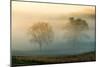 Misty Battlefield, Gettysburg National Military Park, Pennsylvania, USA-Mira-Mounted Photographic Print