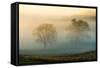 Misty Battlefield, Gettysburg National Military Park, Pennsylvania, USA-Mira-Framed Stretched Canvas