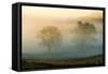 Misty Battlefield, Gettysburg National Military Park, Pennsylvania, USA-Mira-Framed Stretched Canvas