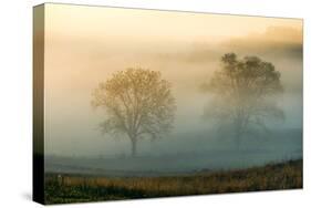 Misty Battlefield, Gettysburg National Military Park, Pennsylvania, USA-Mira-Stretched Canvas