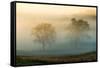 Misty Battlefield, Gettysburg National Military Park, Pennsylvania, USA-Mira-Framed Stretched Canvas