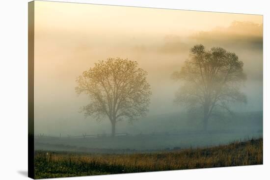 Misty Battlefield, Gettysburg National Military Park, Pennsylvania, USA-Mira-Stretched Canvas