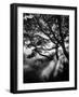 Misty Black-Design Fabrikken-Framed Photographic Print