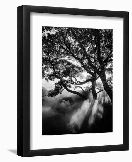 Misty Black-Design Fabrikken-Framed Photographic Print