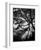 Misty Black-Design Fabrikken-Framed Photographic Print